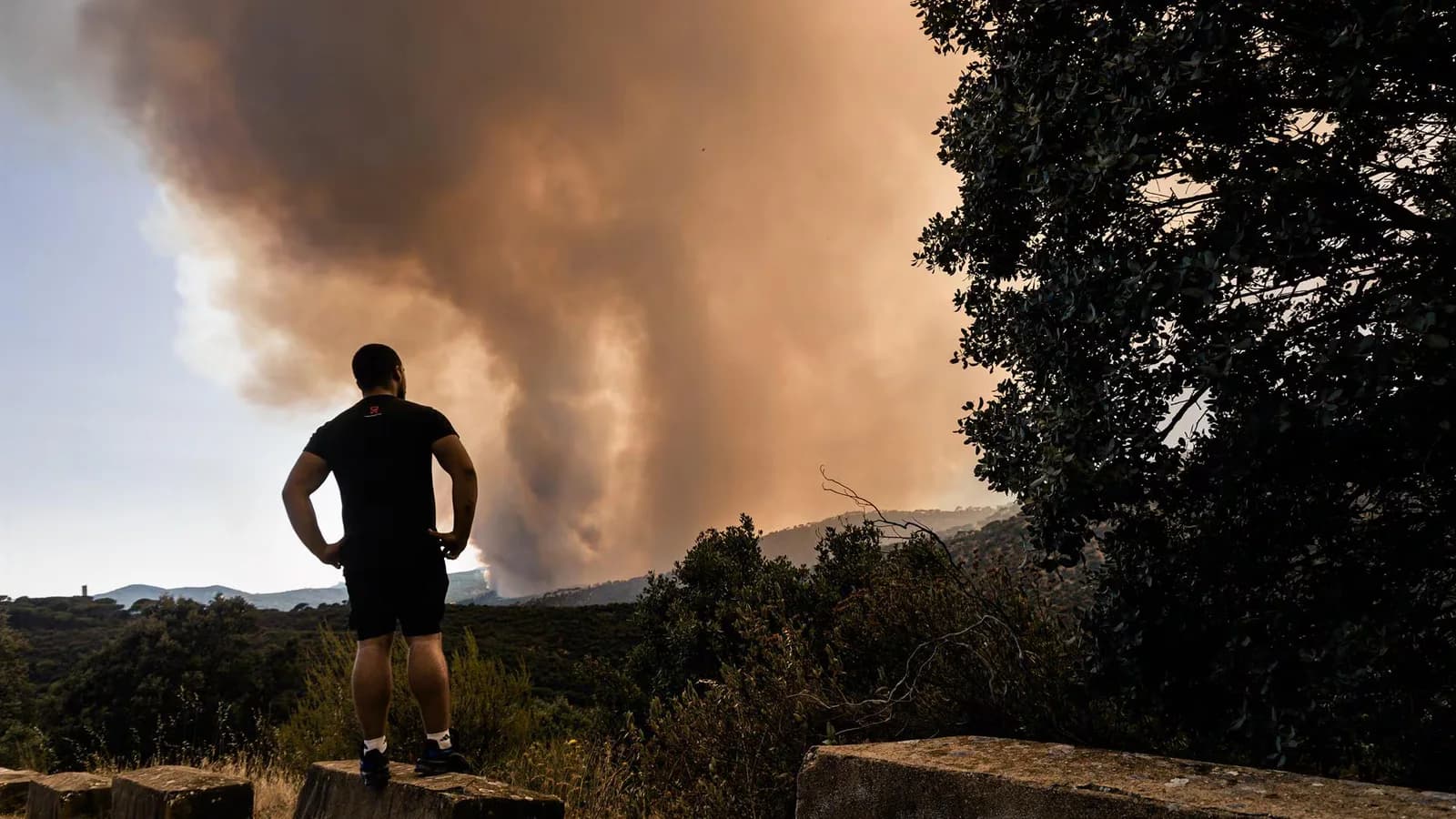 España solicita a la UE cuatro aviones para combatir los incendios forestales