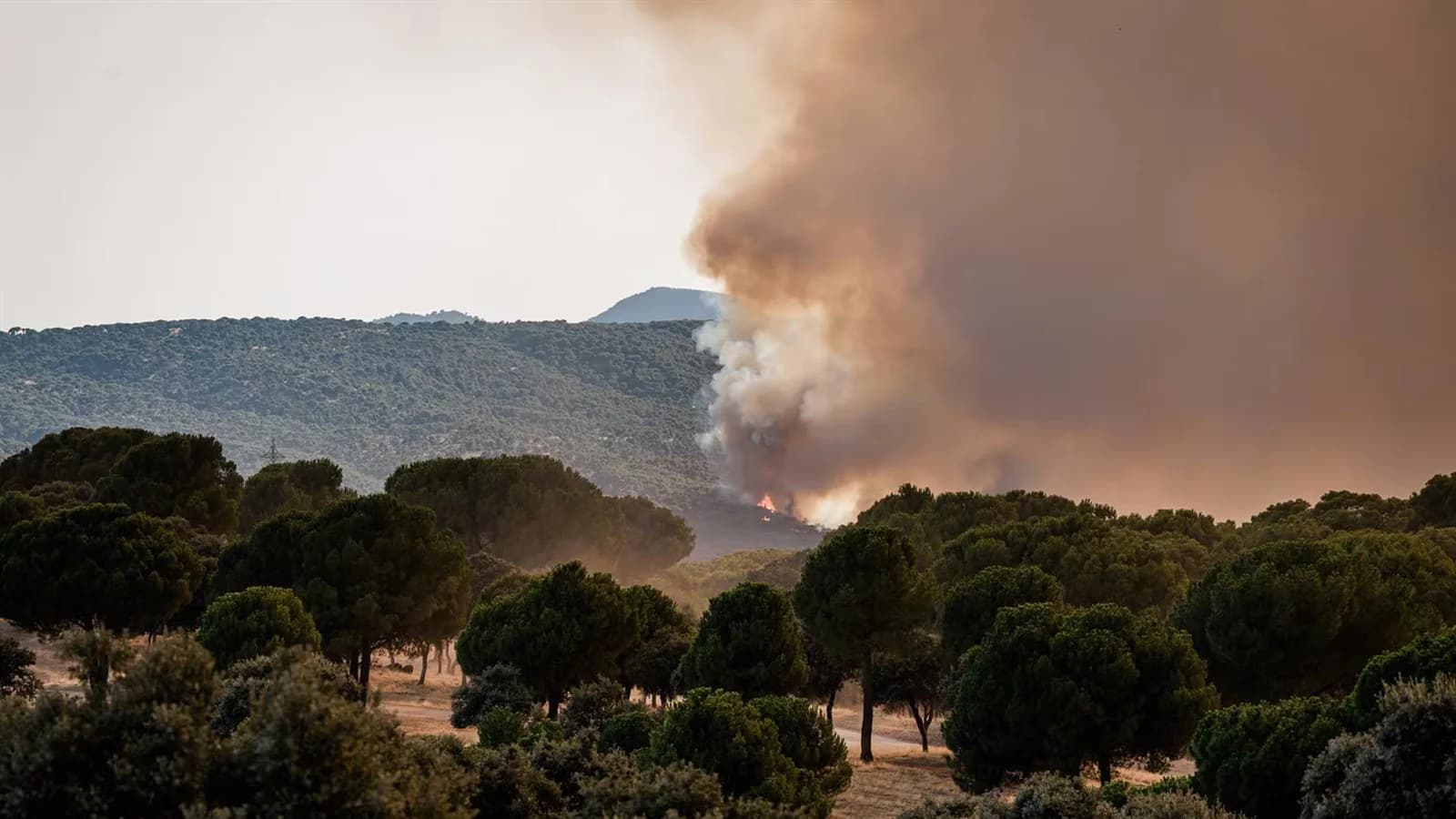 Ministros españoles expresan su respaldo ante los incendios forestales y piden precaución