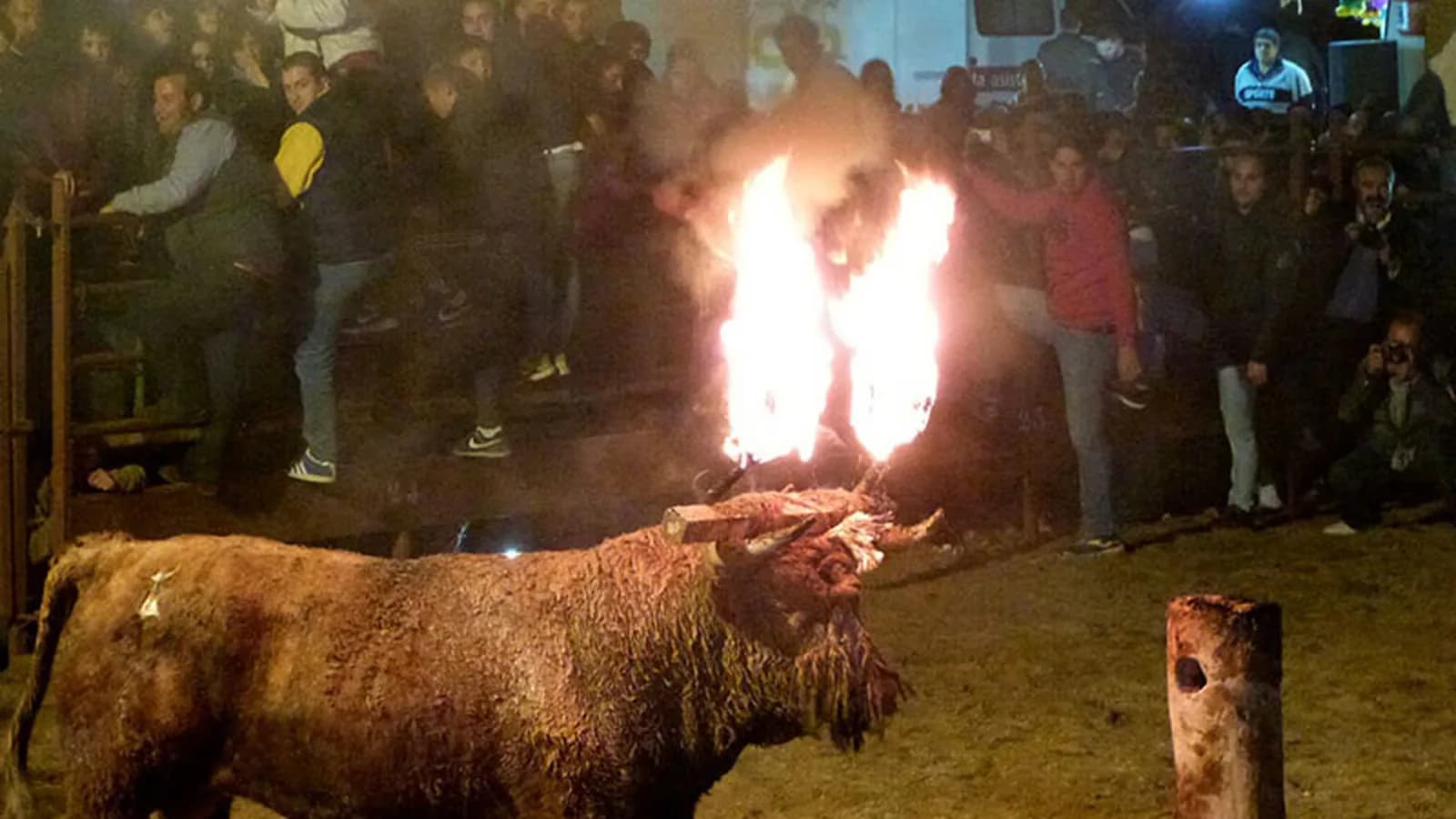 El Supremo cierra el proceso judicial por el Toro Jubilo de Medinaceli de 2023