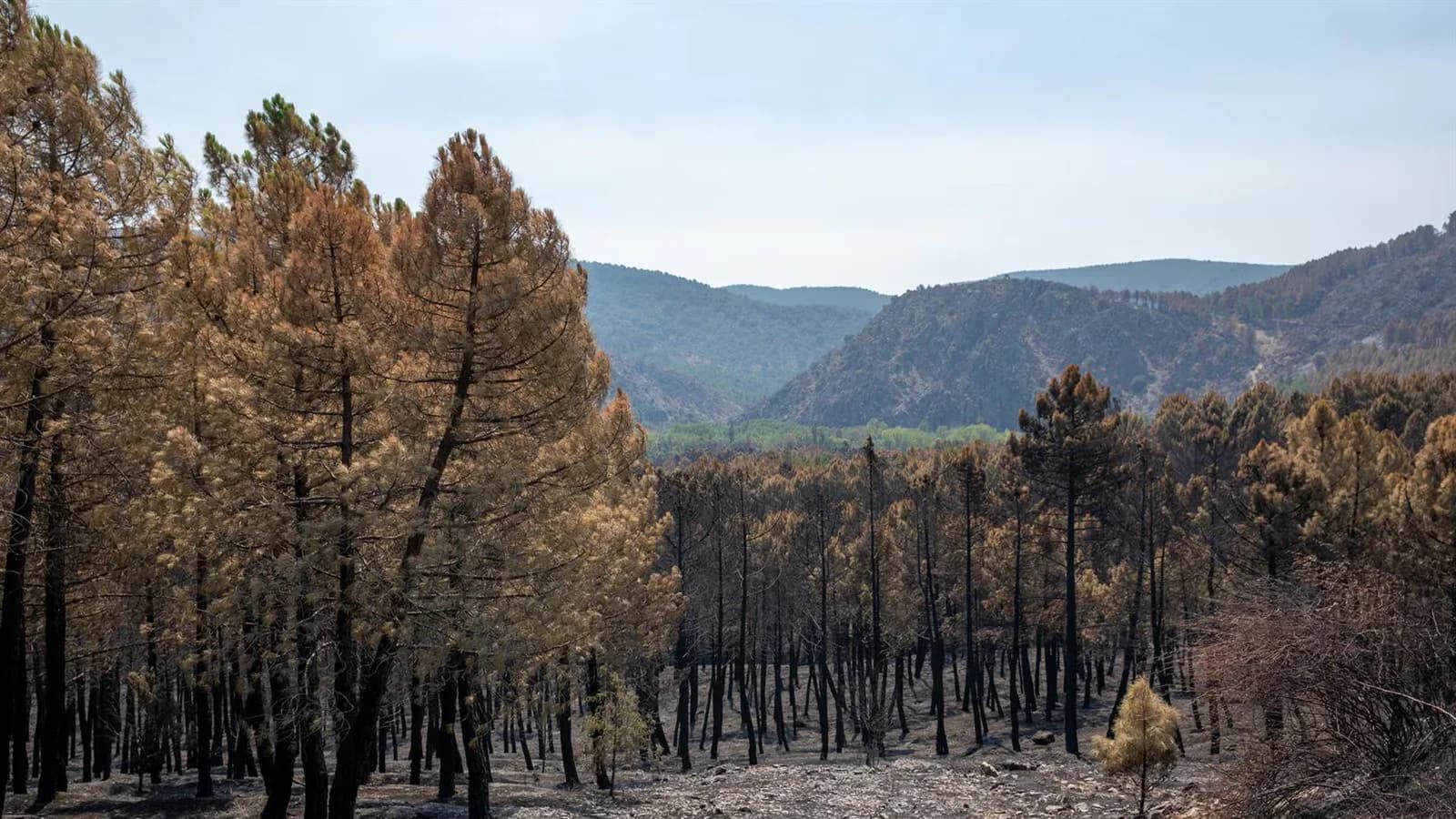 García-Page reclama revisar las limitaciones legales para prevenir incendios