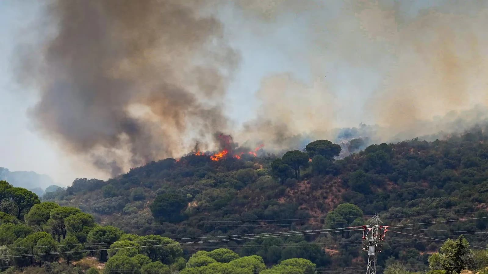 España registra casi 126.000 hectáreas quemadas por incendios forestales