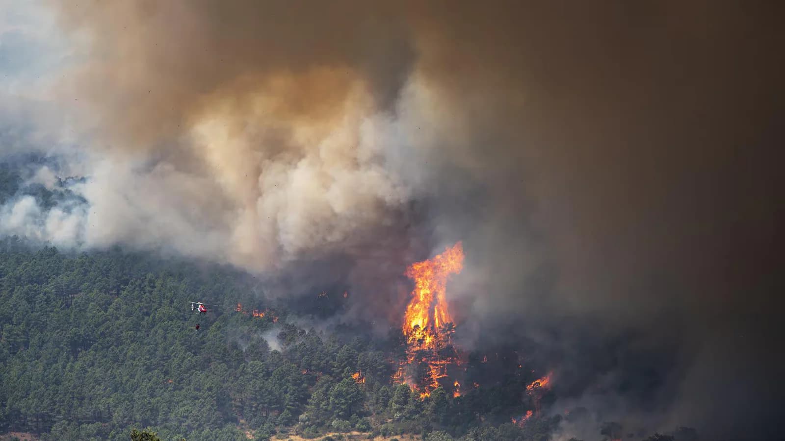 Incendio en Ávila: evacúan siete localidades y ya hay 13.750 afectados
