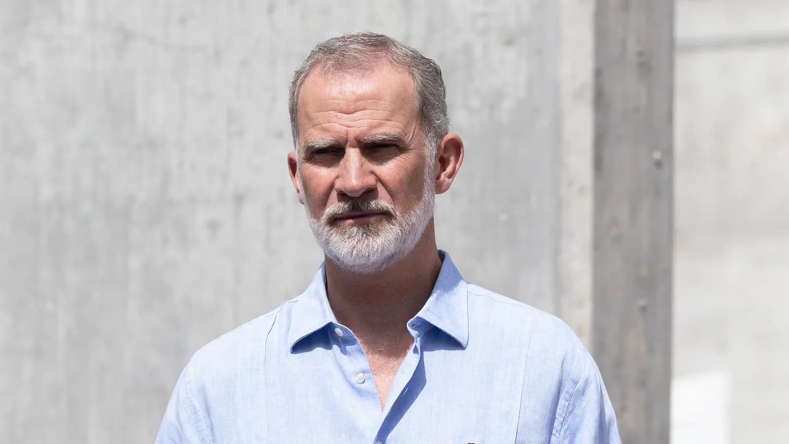 Felipe VI habló con diez alcaldes de municipios afectados por los incendios