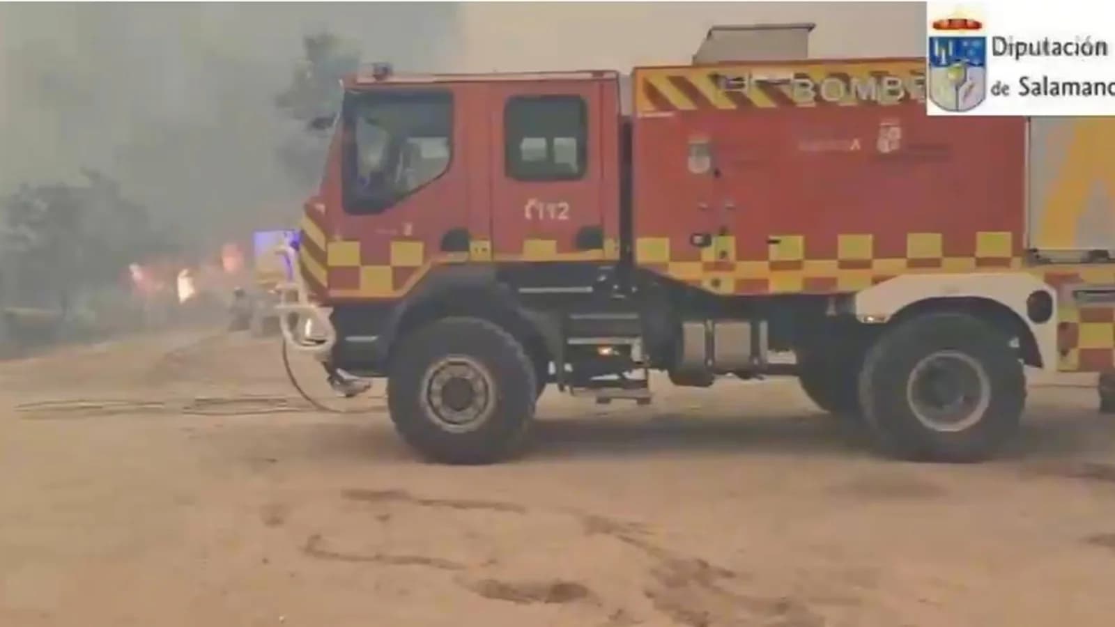 Rescataron a 20 perros atrapados por un incendio en Cebreros