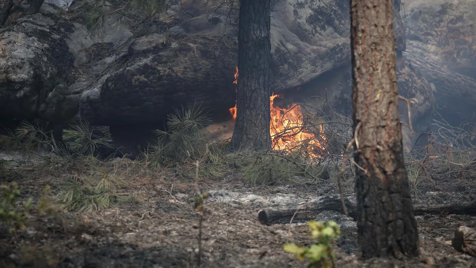 Incendios en Gironda: ordenan evacuar a otras 55.000 personas