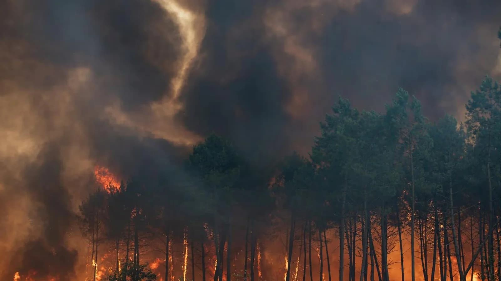 El incendio en Landas avanzó poco durante la noche, pero sigue sin estar controlado