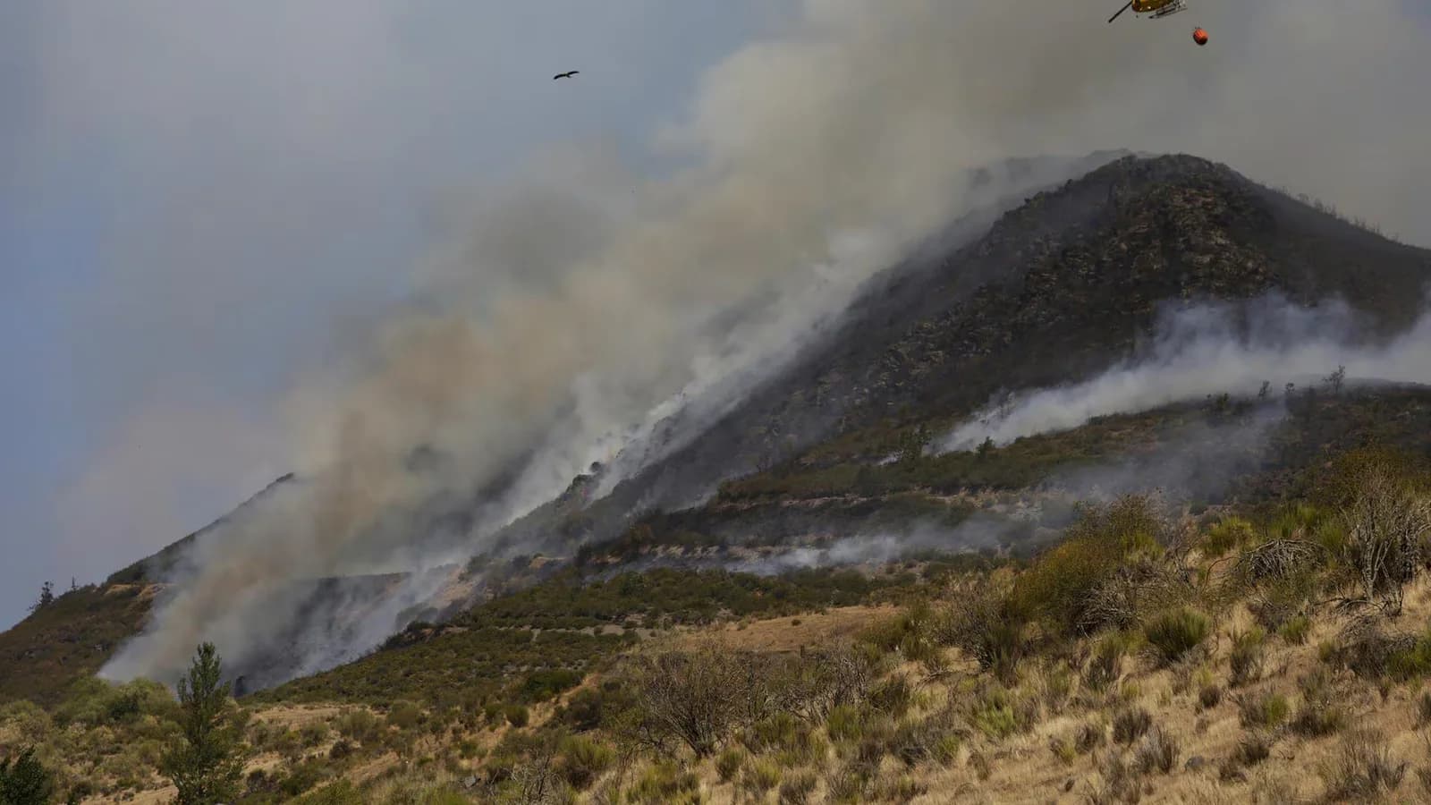 España afronta un nuevo aumento del riesgo de incendios por el calor intenso