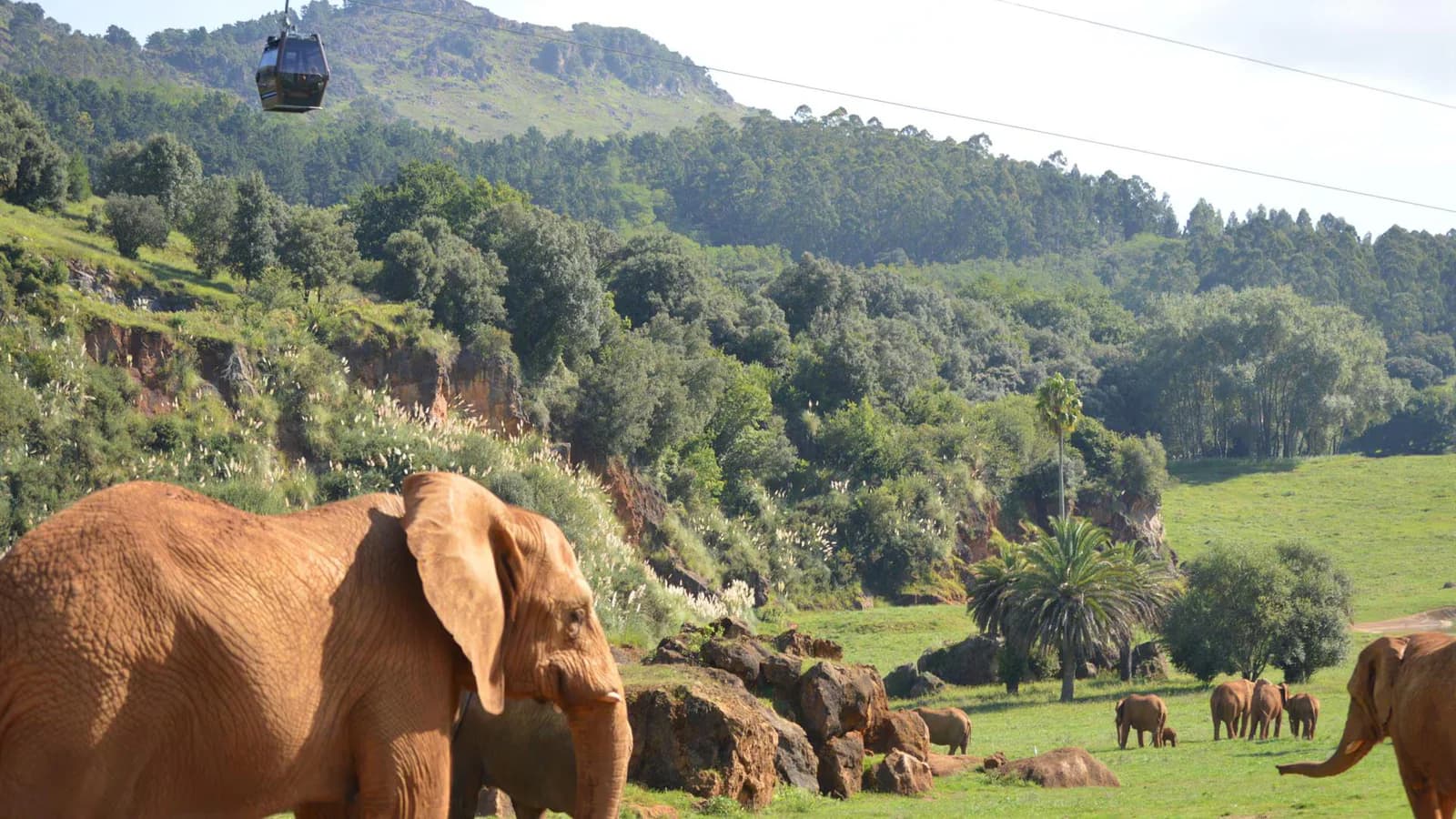 Doce zoológicos registrarán la conducta animal durante el eclipse del 12 de agosto