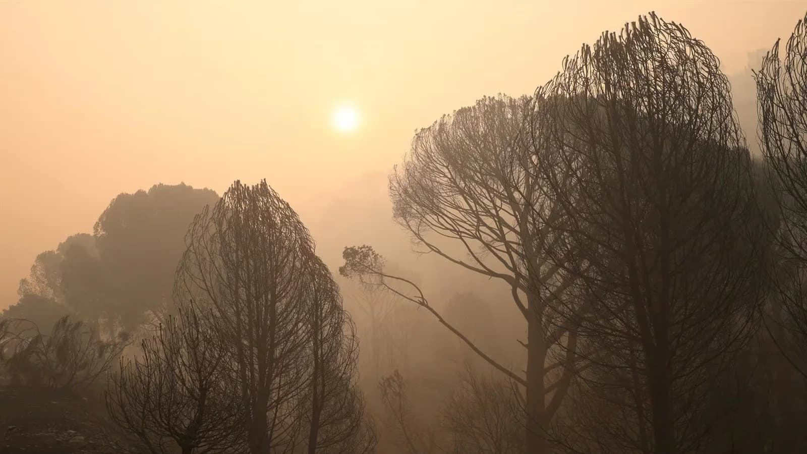 Rueda admite el impacto del clima en los incendios y reclama decisiones concretas