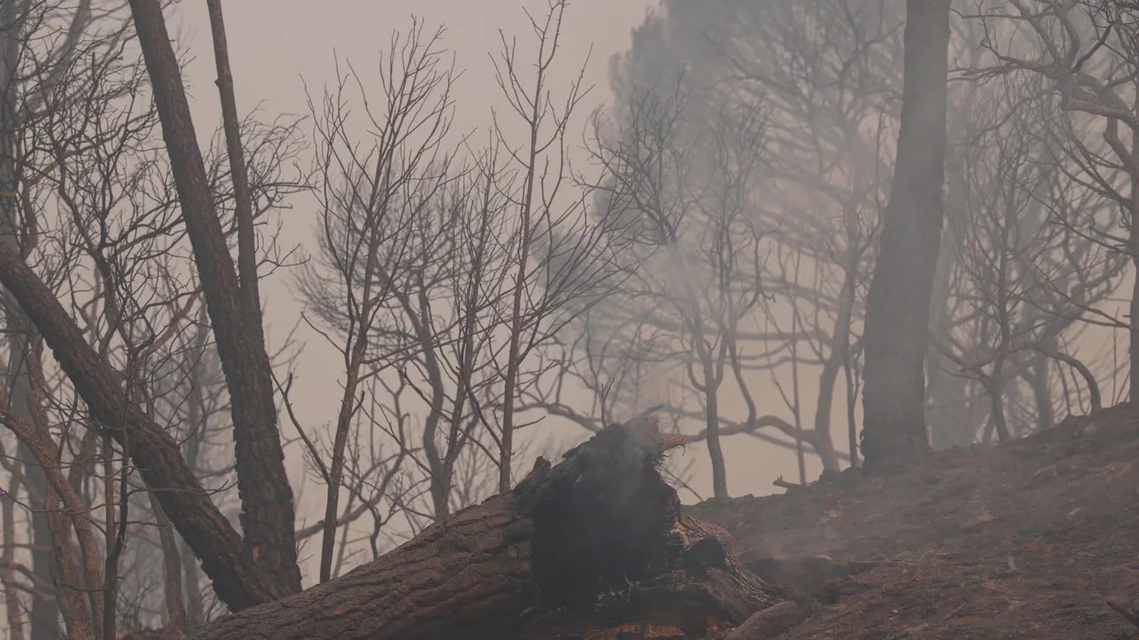 El frente toledano del incendio del Valle del Tiétar, a 200 metros de quedar perimetrado