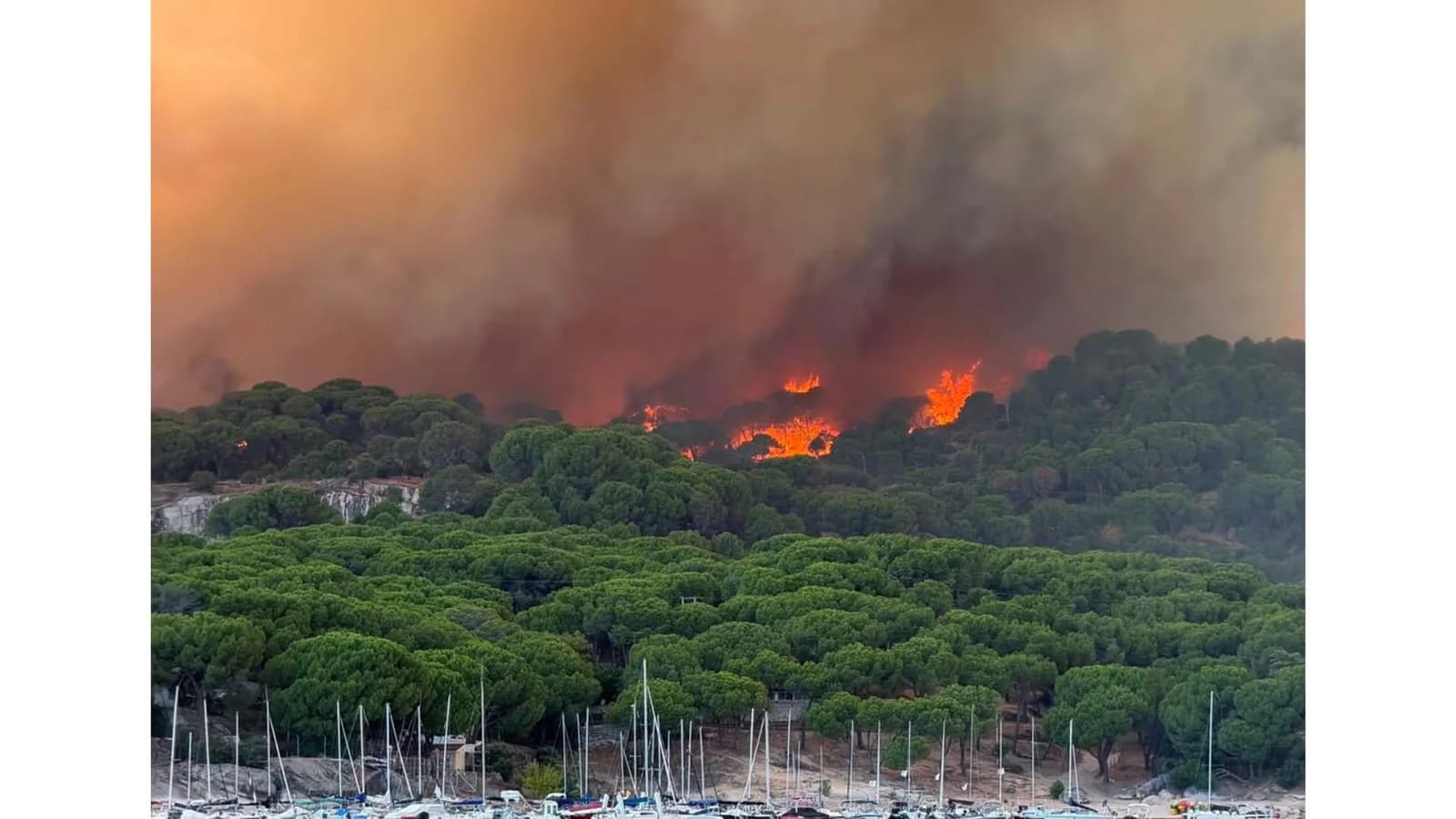 El Gobierno prepara ayudas laborales para los afectados por los incendios