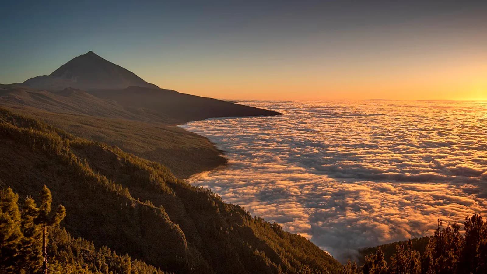 Canarias prepara el IV Foro Iberoamericano de Turismo, previsto para marzo de 2027
