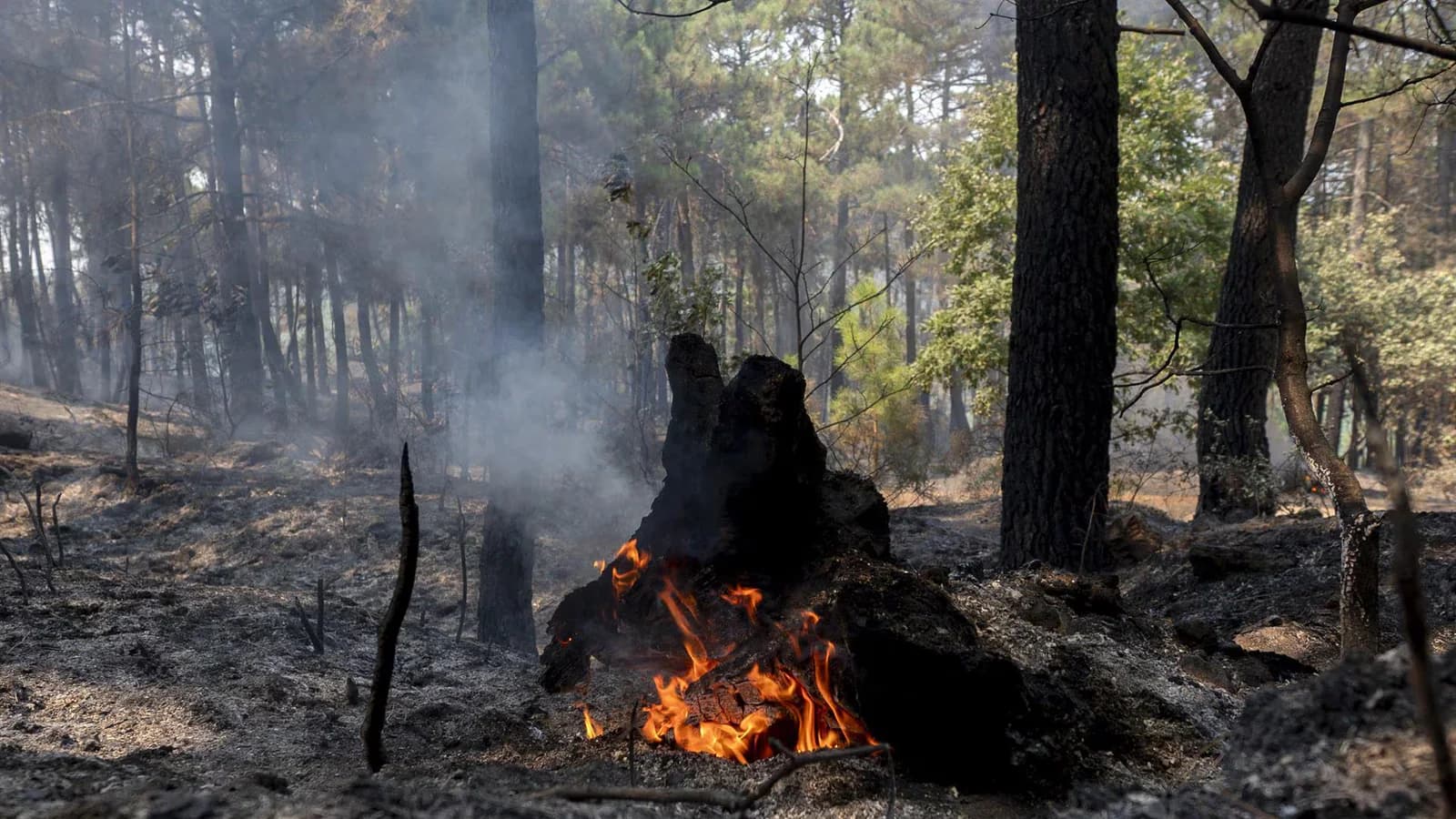 Los incendios en Madrid siguen activos pese a una noche favorable para las tareas