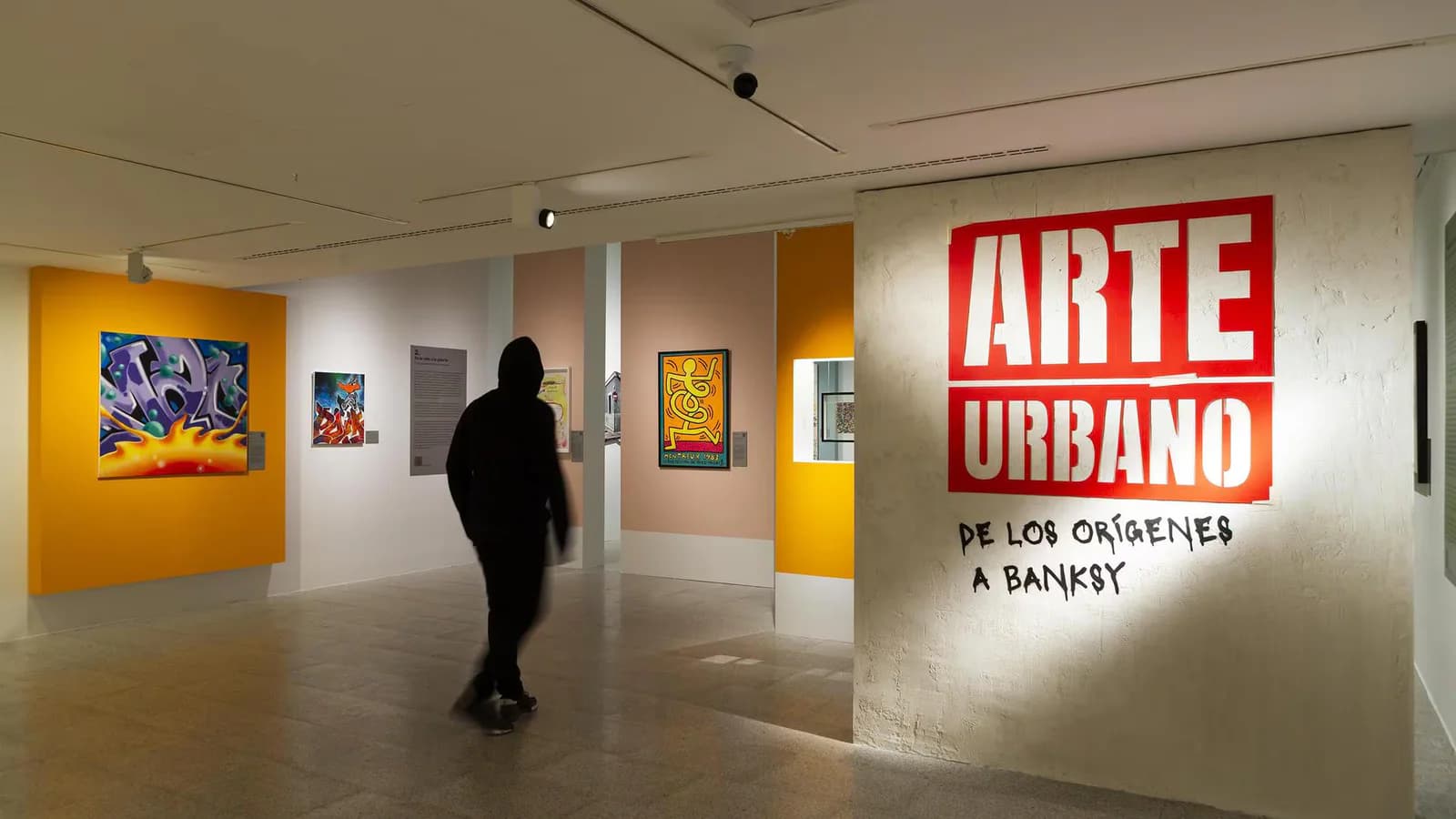 La muestra de arte urbano de Fundación Canal cerró con 103.742 visitantes