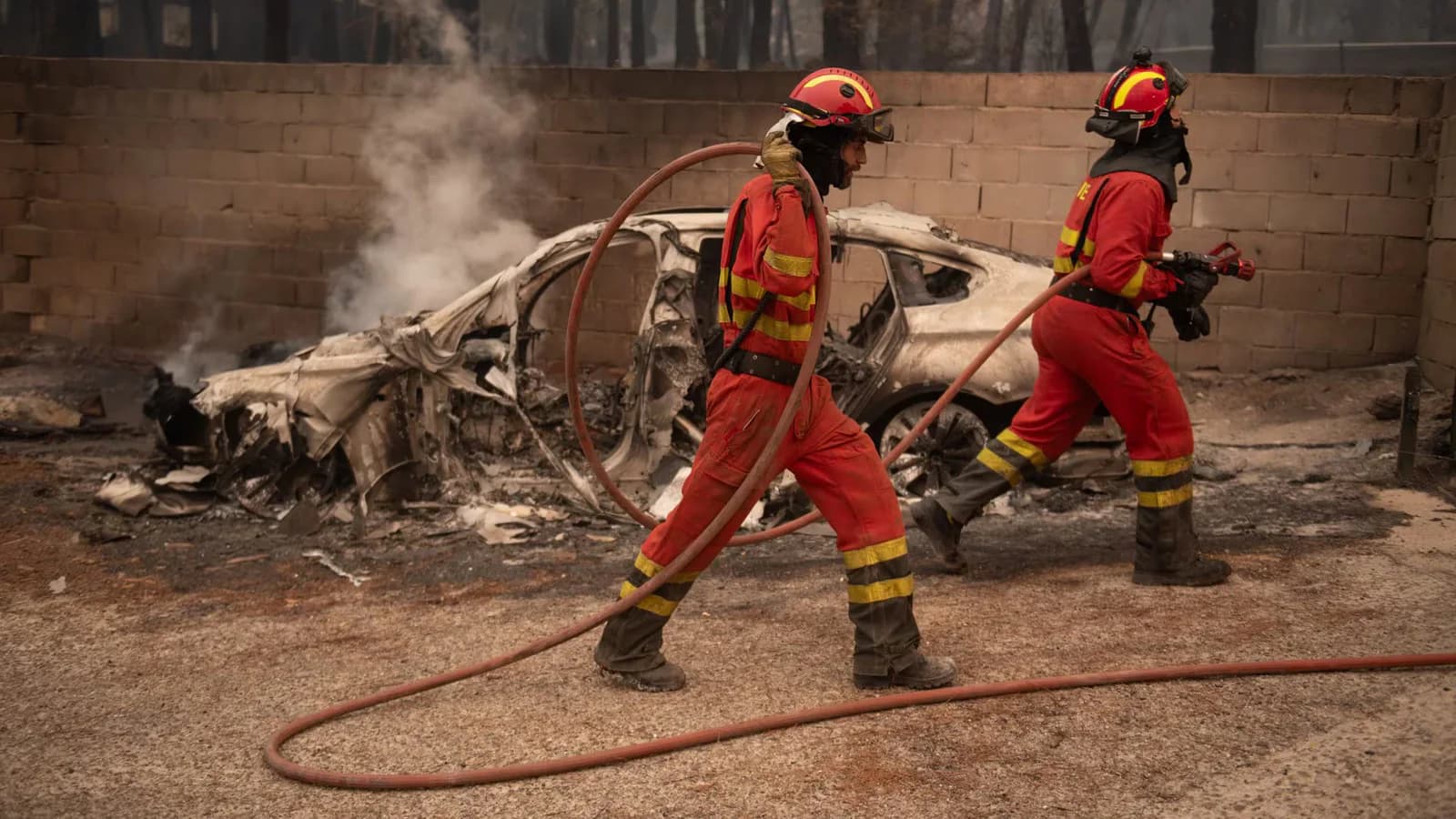 SESPAS pide una prevención de incendios con la salud pública como eje