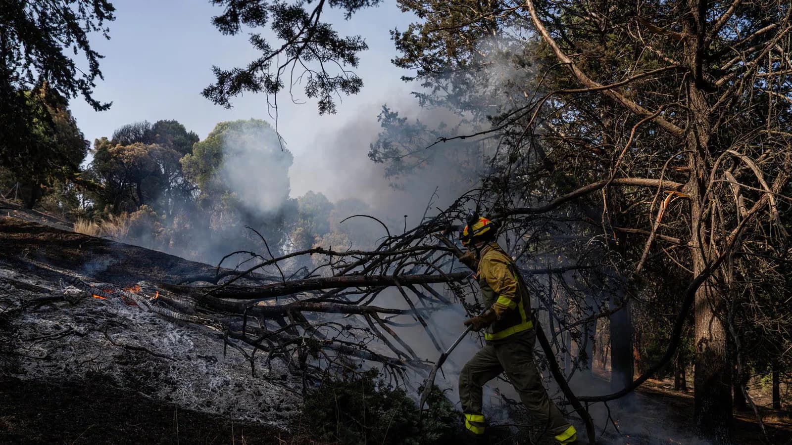 El incendio en la sierra oeste de Madrid no registró nuevos focos durante la noche