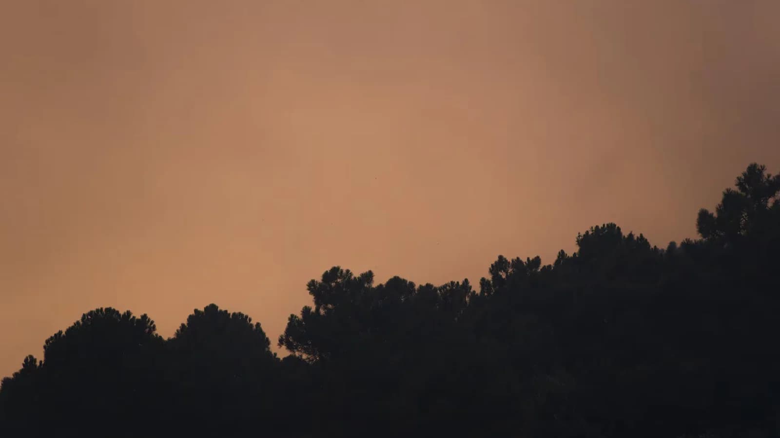 La ola de calor seguirá hasta el domingo y eleva el riesgo de incendios