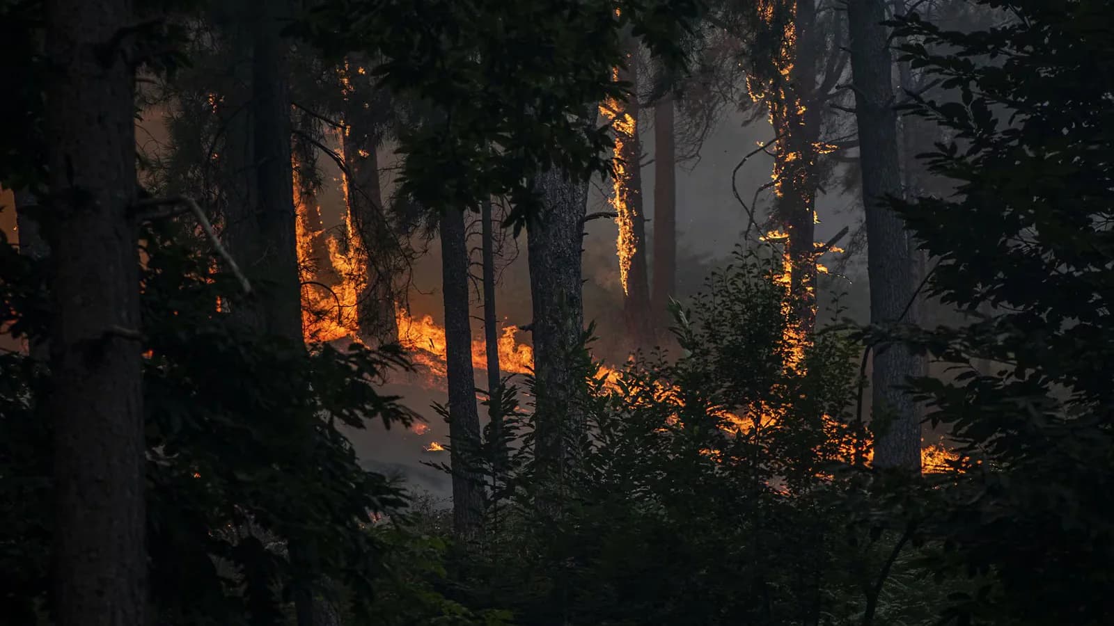 La SEMI reclama un plan nacional para atender los efectos de incendios y humo