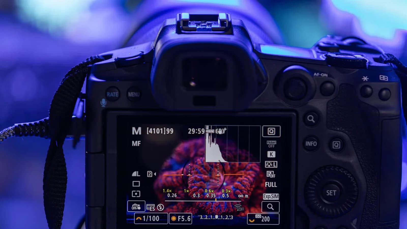 La tecnología de imagen se suma a la reproducción asistida de corales