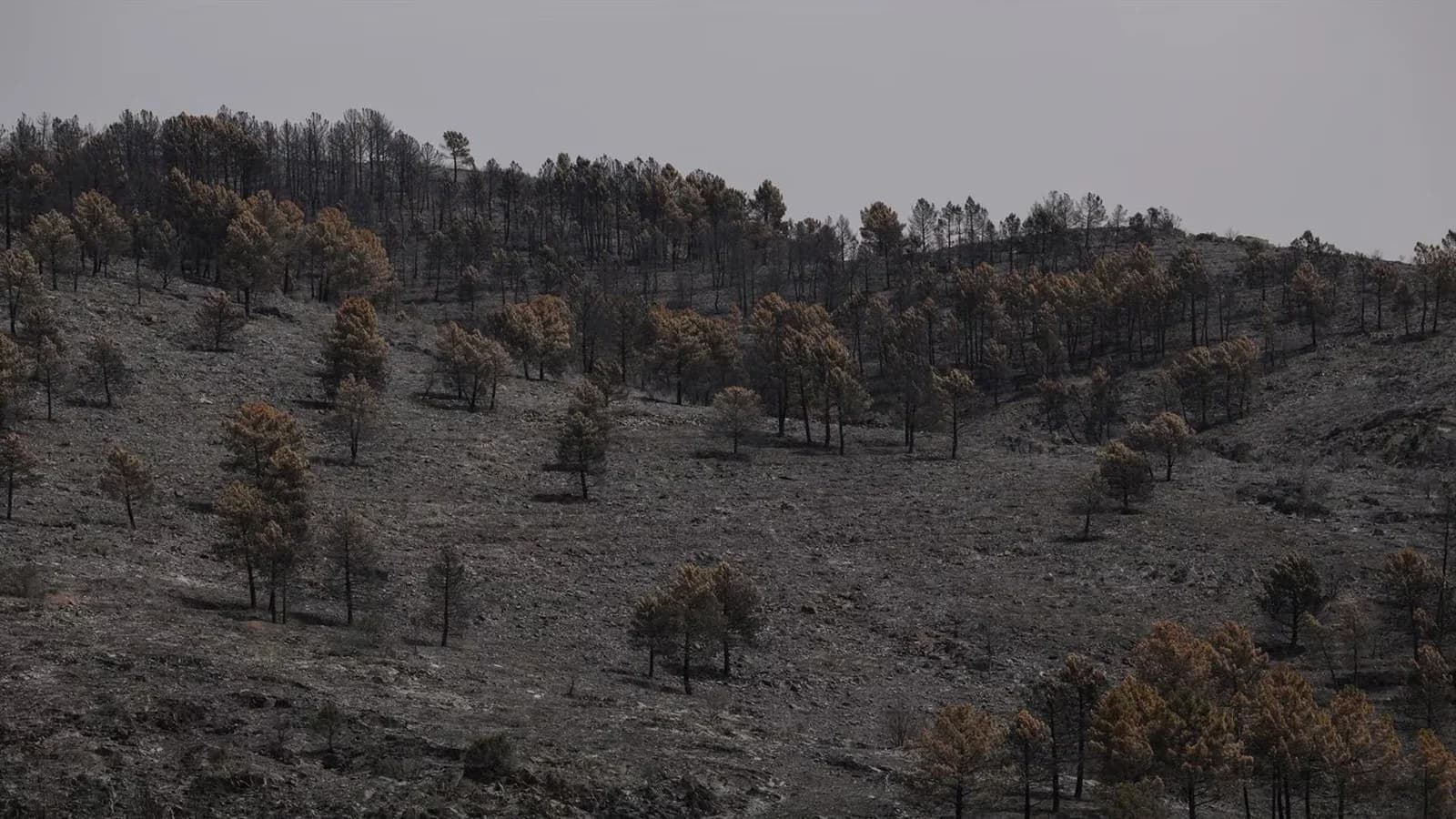 El PSOE acusa al PP de bloquear el pacto climático y votar contra los avances