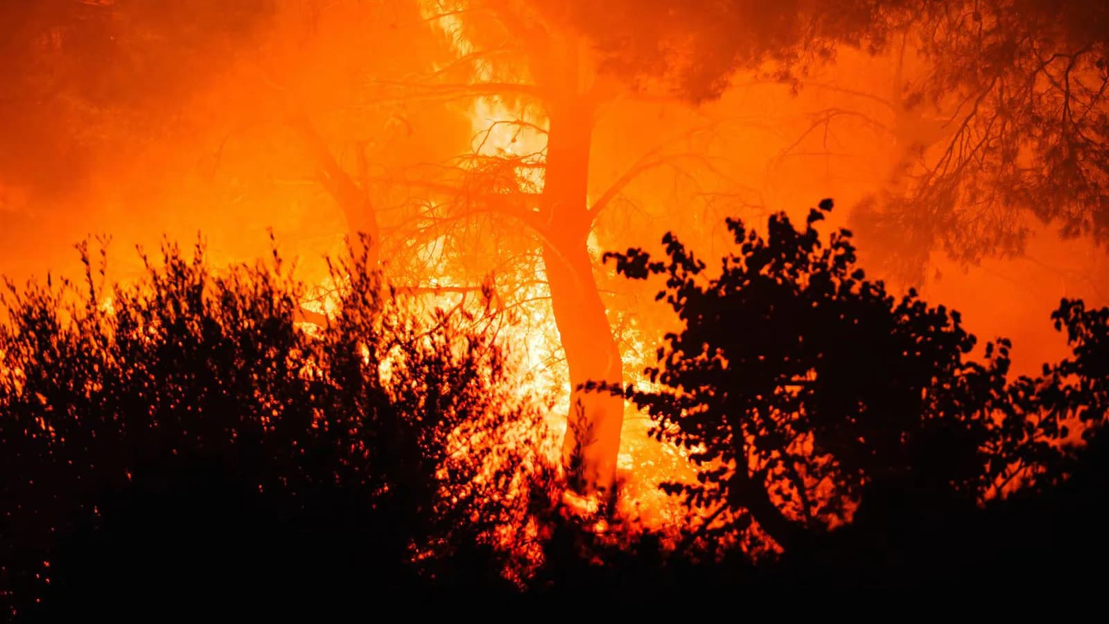Incendios en Grecia: más de 11.100 hectáreas quemadas cerca de Atenas