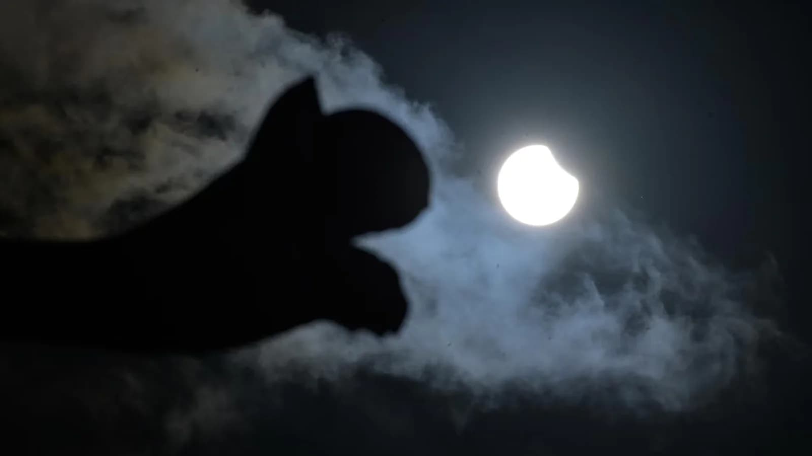 Eclipse solar total de 2026: cuáles serán los mejores puntos para verlo