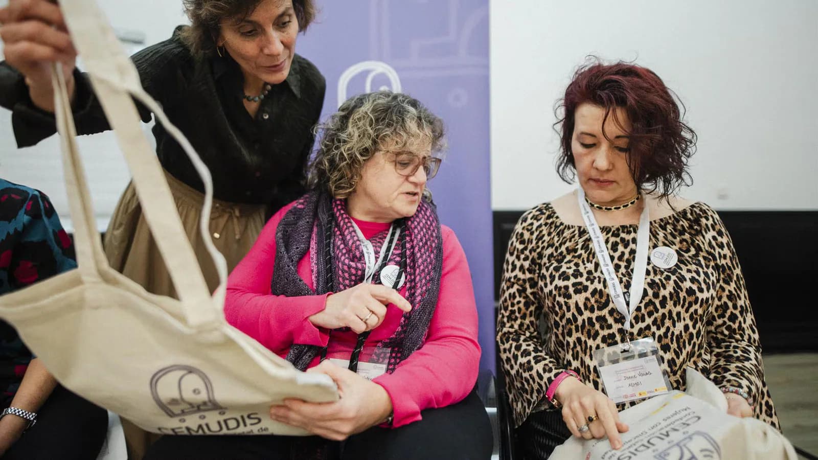 CEMUDIS reclama incorporar la discapacidad en la futura ley sobre violencia vicaria