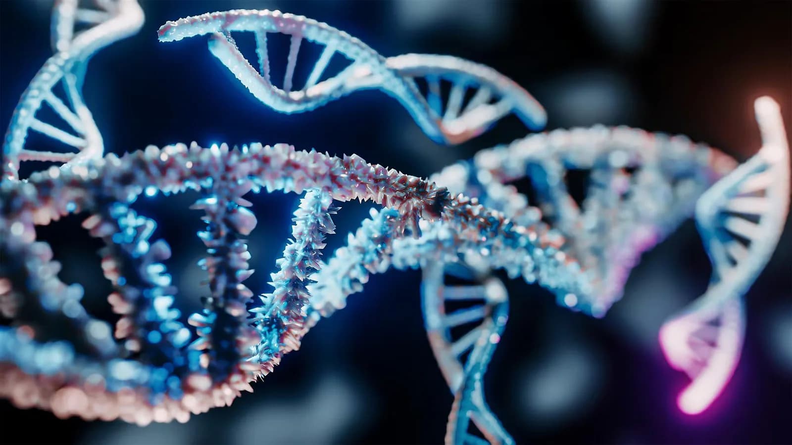 Un equipo reconstruyó el genoma completo de un individuo y busca mejorar los diagnósticos