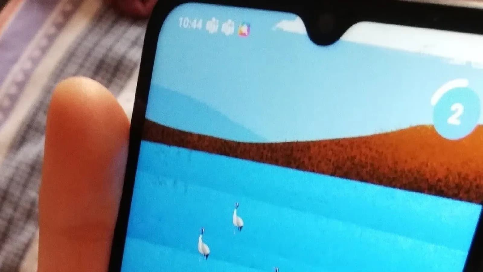 SEO/BirdLife lanza dos apps gratuitas para identificar y contar aves en España
