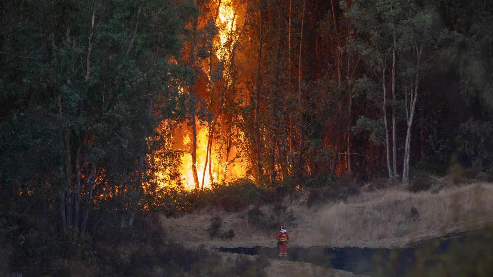 Desalojan de forma preventiva a 340 personas por un incendio en Niebla