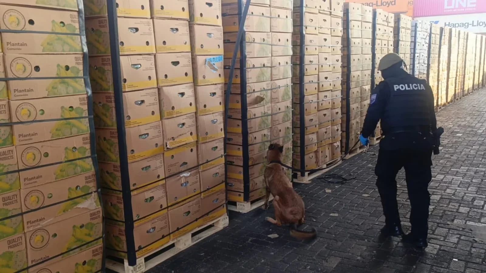 Incautan en Guayaquil 1,2 toneladas de cocaína ocultas en cajas de fruta