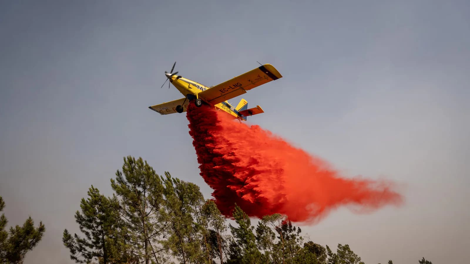 Incendio en Niebla: 467 personas siguen evacuadas en Huelva