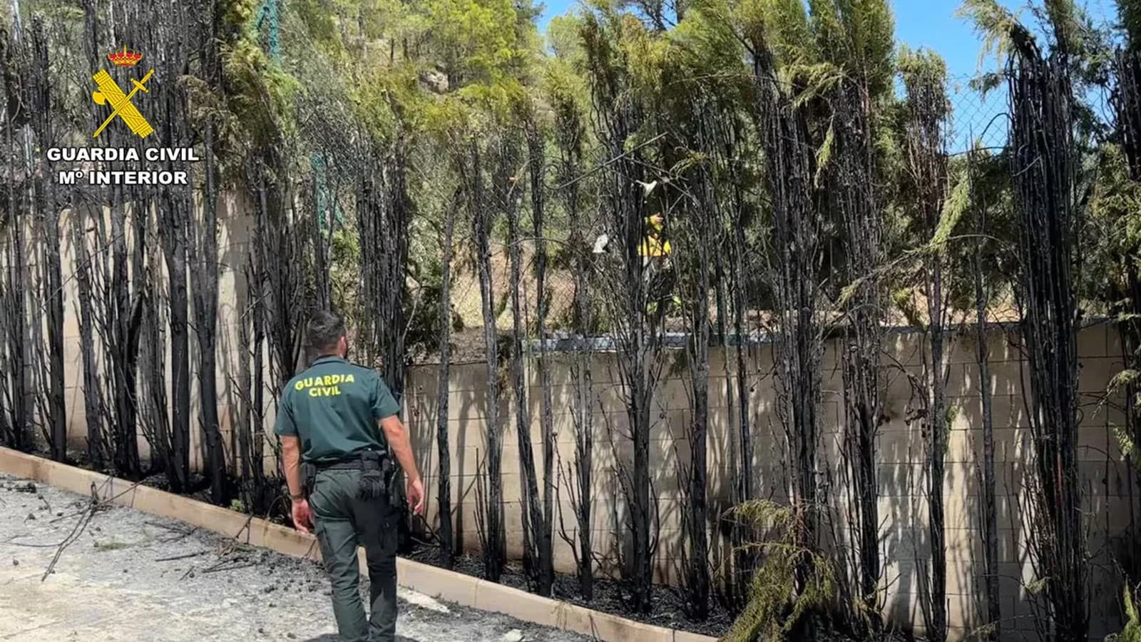La Guardia Civil auxilió a una mujer y sus dos perros durante un incendio en Socovos