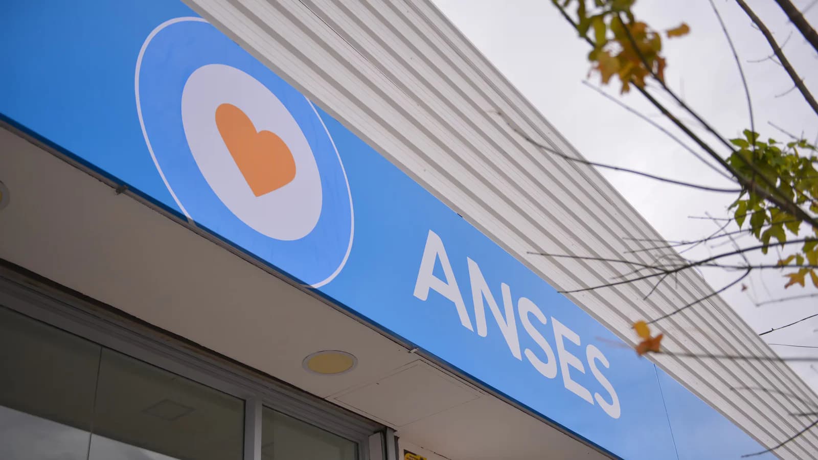 ANSES: quiénes cobran el 11 de agosto de 2026