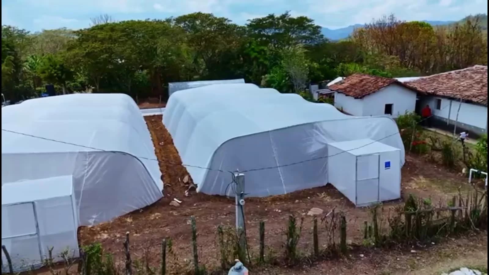 Honduras descarta una emergencia alimentaria pese a las pérdidas por la sequía