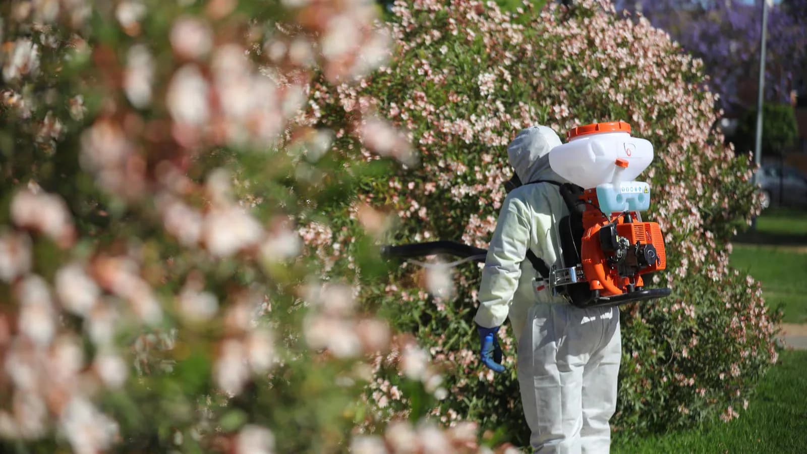 Andalucía registra 34 casos de fiebre del Nilo en 2026, todos en Sevilla