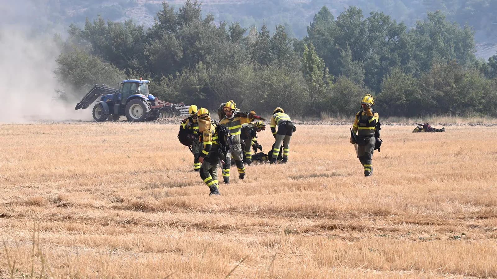 Reclaman a Aragón protocolos para rescatar animales durante incendios y catástrofes