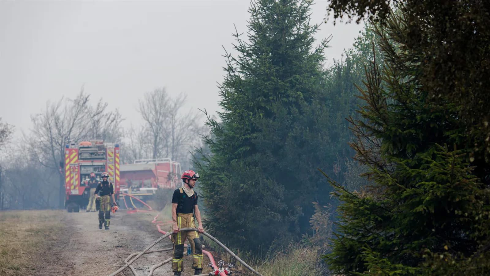 Vientos cambiantes dificultan el combate del incendio en Hautes Fagnes