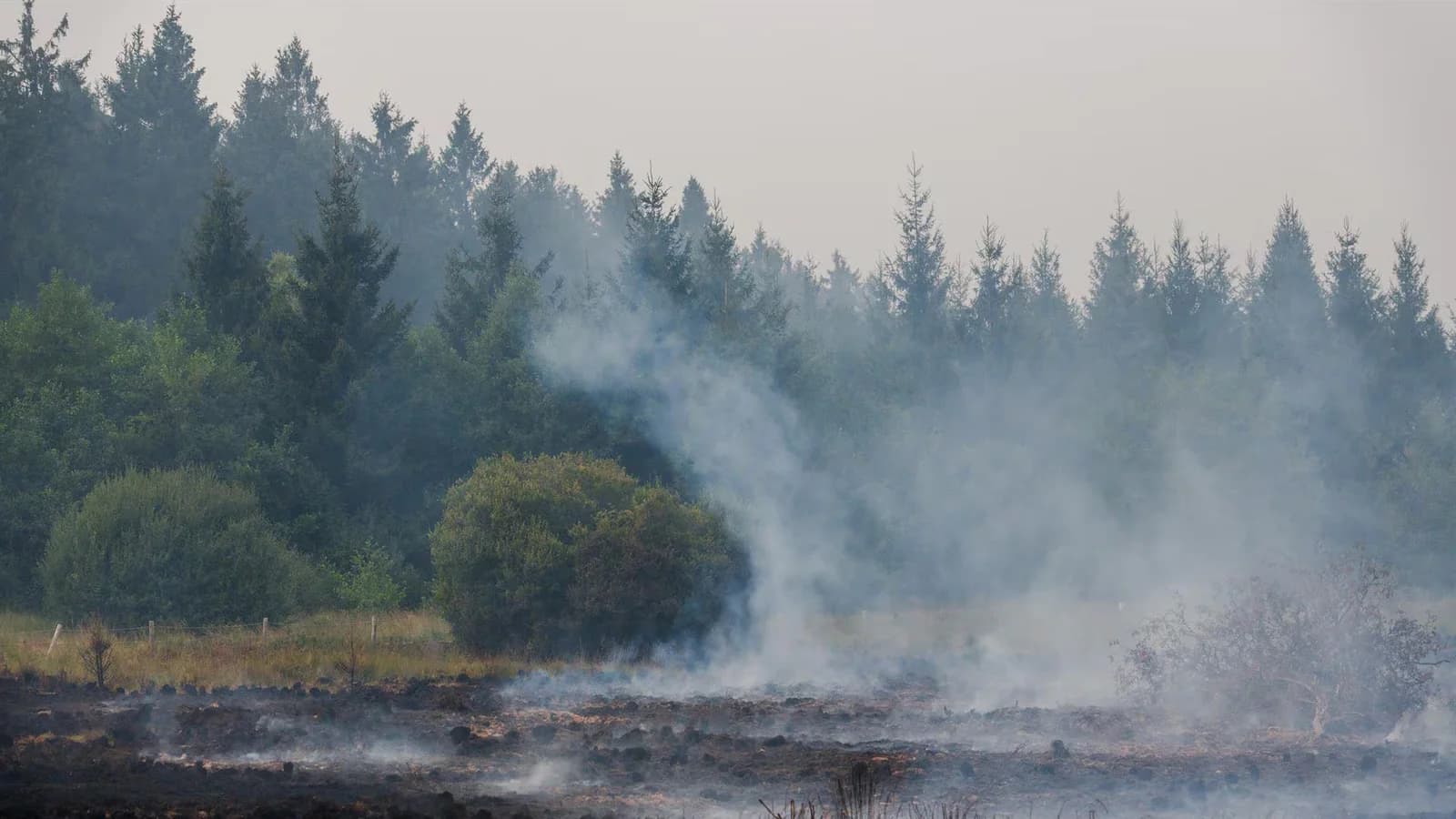 Ordenan una evacuación parcial en Monschau por el incendio en Hautes Fagnes