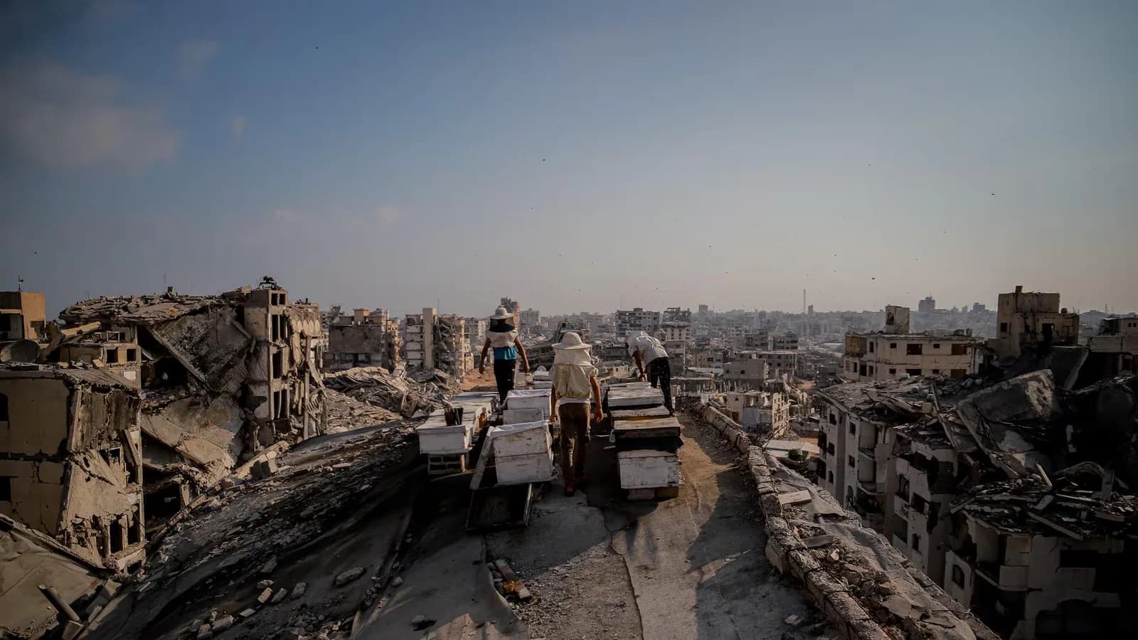 Siete muertos y 14 heridos tras un bombardeo israelí en Gaza pese al alto el fuego