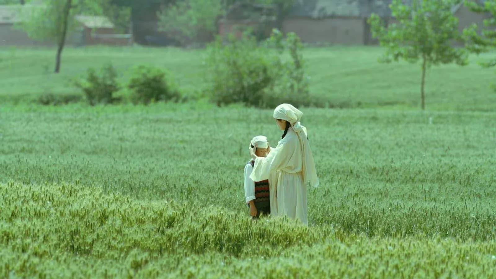 “Vivir la tierra”: la transformación rural de China vista desde la infancia