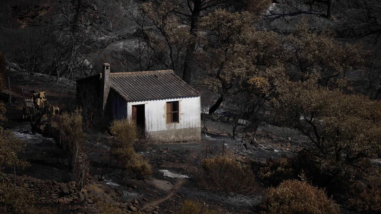 Berrocal pedirá ser declarado zona catastrófica tras el incendio de 33.000 hectáreas