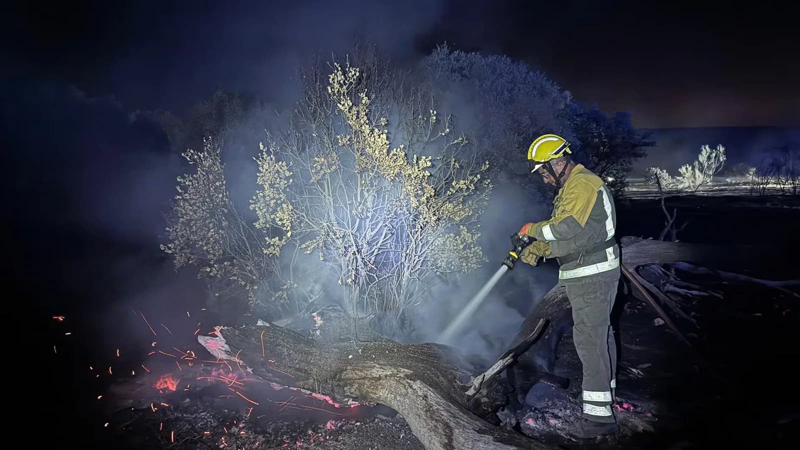 El incendio de Aldea del Fresno mantiene una evolución positiva durante la noche