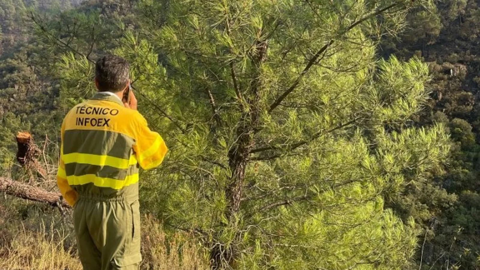 54 efectivos siguen trabajando en el incendio estabilizado de Pinofranqueado