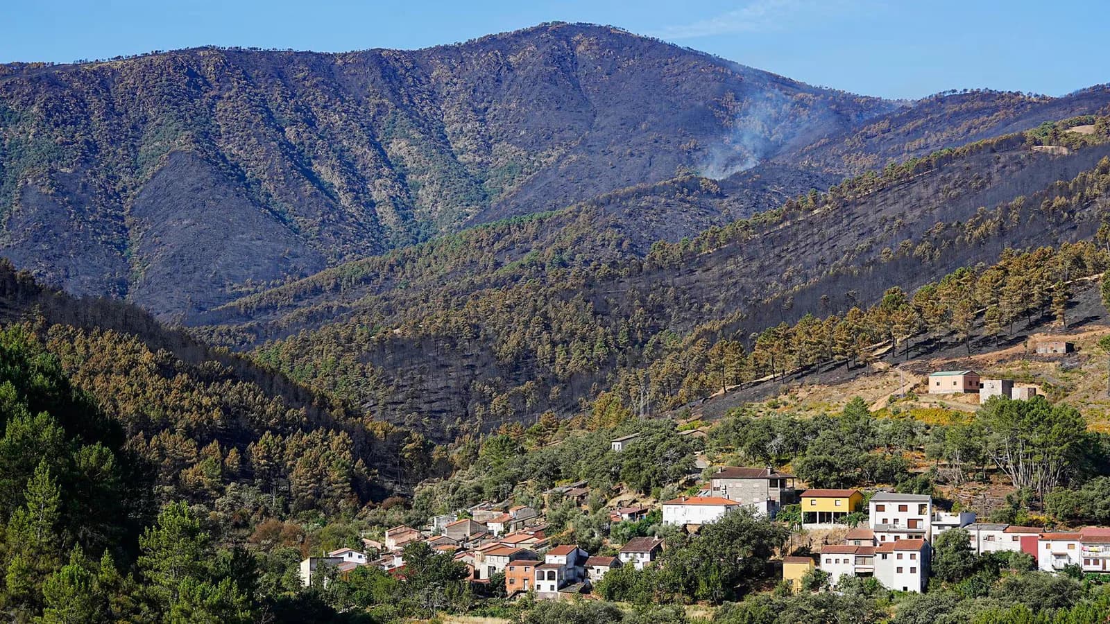 El incendio de Pinofranqueado afecta a 3.765 hectáreas, según el Infoex